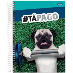 CADERNO COM ESPIRAL PETS LOVE JANDAIA 2