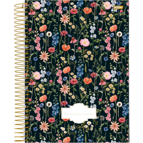 CADERNO COM ESPIRAL LIBERTY JANDAIA