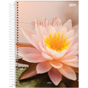 CADERNO COM ESPIRAL PAZ JANDAIA (3)